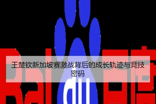 王楚钦新加坡赛激战背后的成长轨迹与竞技密码